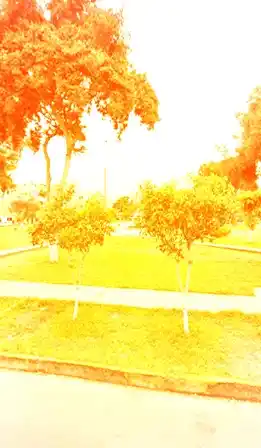 Mudanza Los Olivos Julio 2026