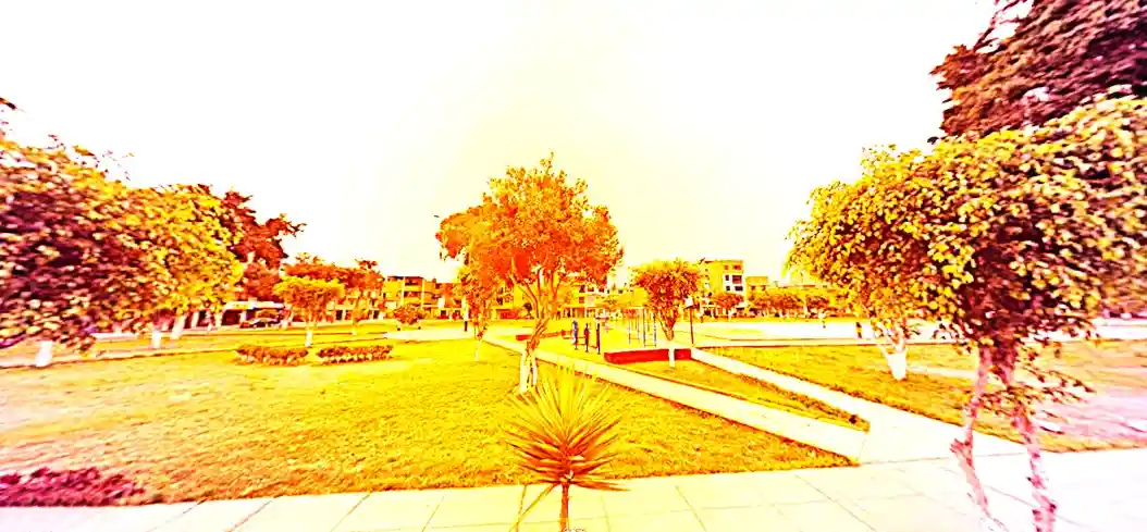 Mudanza Los Olivos Mayo 2026